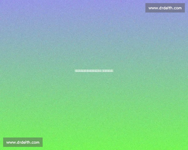 河南职院学子省十五届网球赛斩获四奖 体教融合育英才