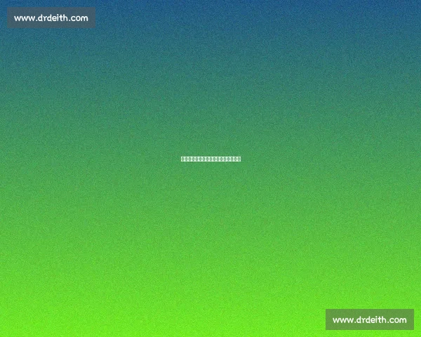 梅伦多预防性轮休，海港返沪备战德比