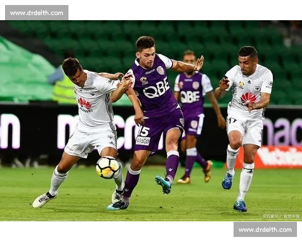 聚焦VS网综合格斗赛事发展趋势与顶级选手对决全景解析深度观察